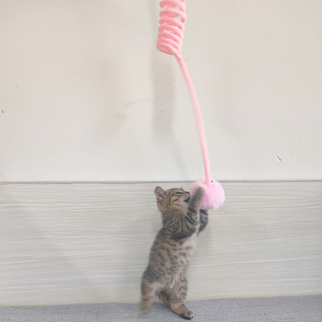 Interactive Rabbit Hair Ball Cat Toy-2