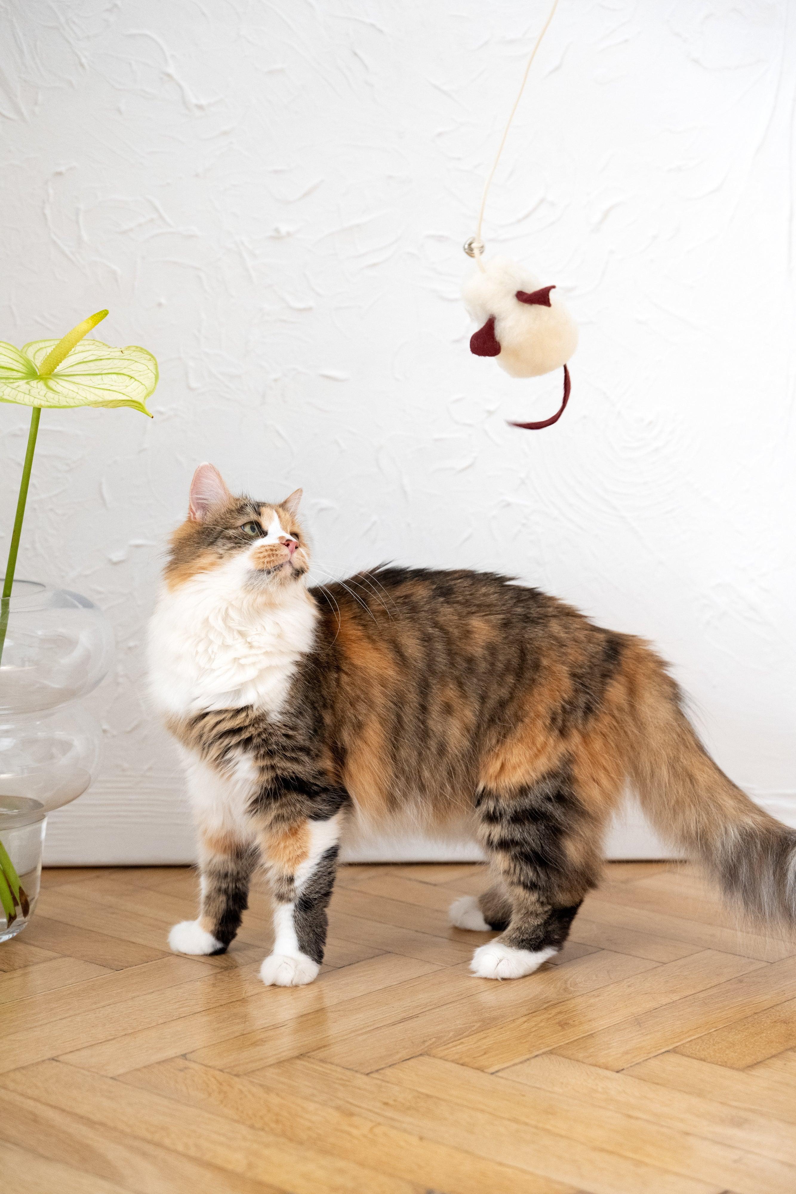Natural Sheepskin Cat Toy: Mouse-3