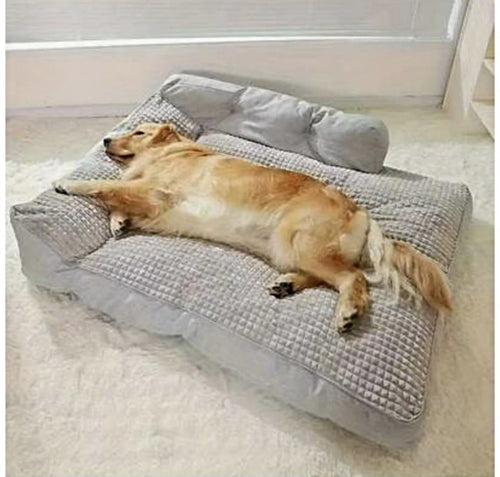 Cama Ortopédica Premium Anti-Ansiedad para Perros 🐾 (ANTI ESTRES Y COMODA)