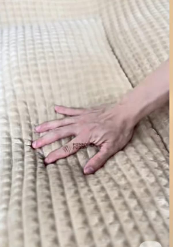 Cama Ortopédica Premium Anti-Ansiedad para Perros 🐾 (ANTI ESTRES Y COMODA)