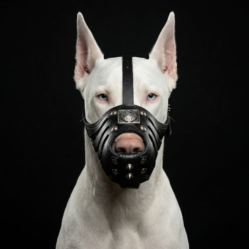 ''Eros'' Basket Muzzle All Black-1